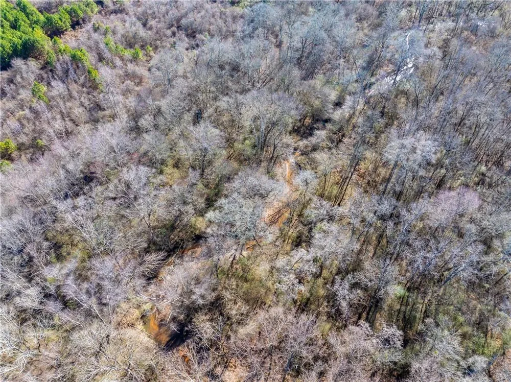 2071 Leslie Mill Road Greensboro, GA 30642