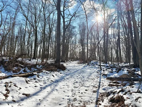 8 Maple Ridge Trail