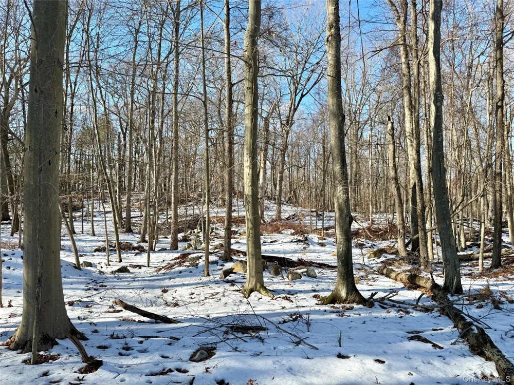 8 Maple Ridge Trail North Salem, NY 10560