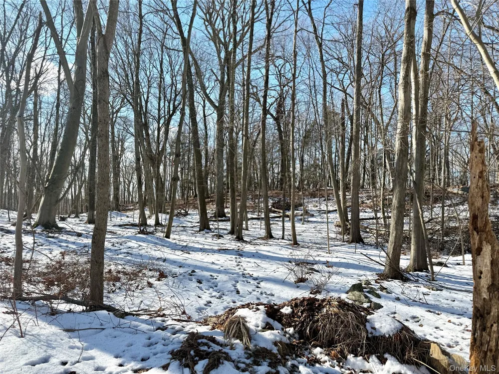 8 Maple Ridge Trail North Salem, NY 10560