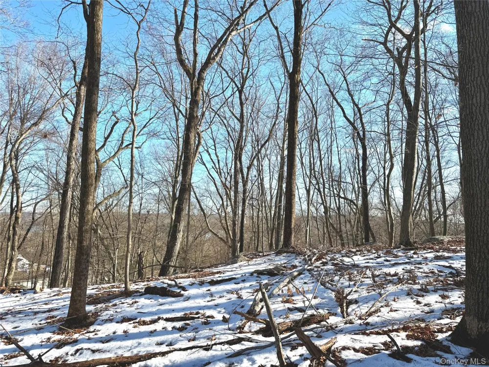 8 Maple Ridge Trail North Salem, NY 10560