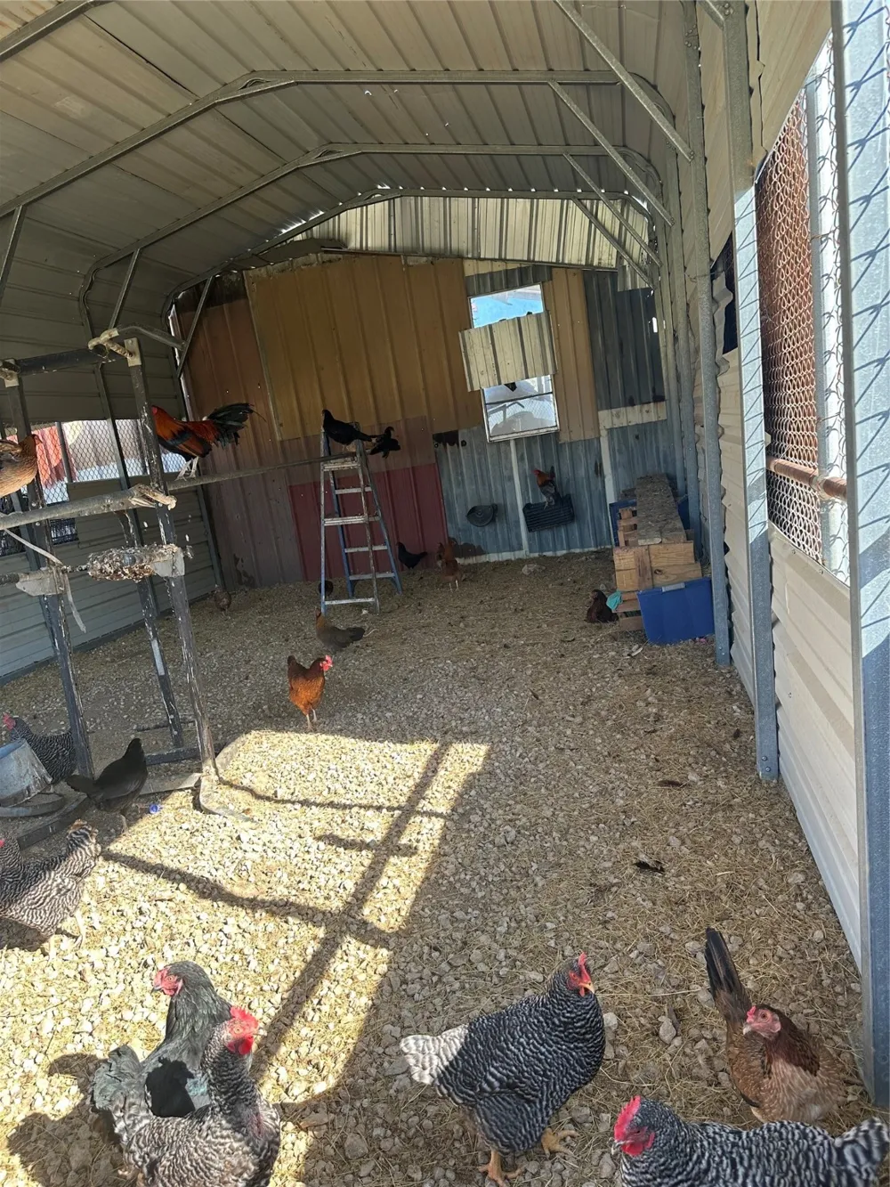 2441 Lcr 486 Mexia, TX 76667