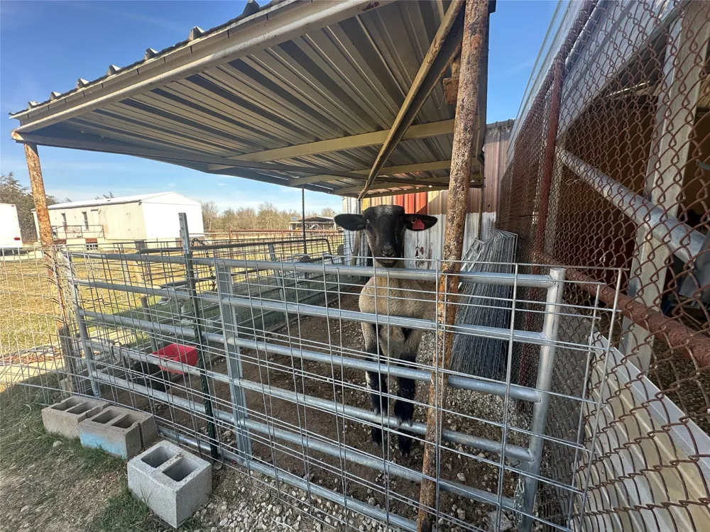 2441 Lcr 486 Mexia, TX 76667