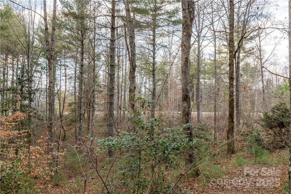 1209 Lakeside Way NW #6 Valdese, NC 28690