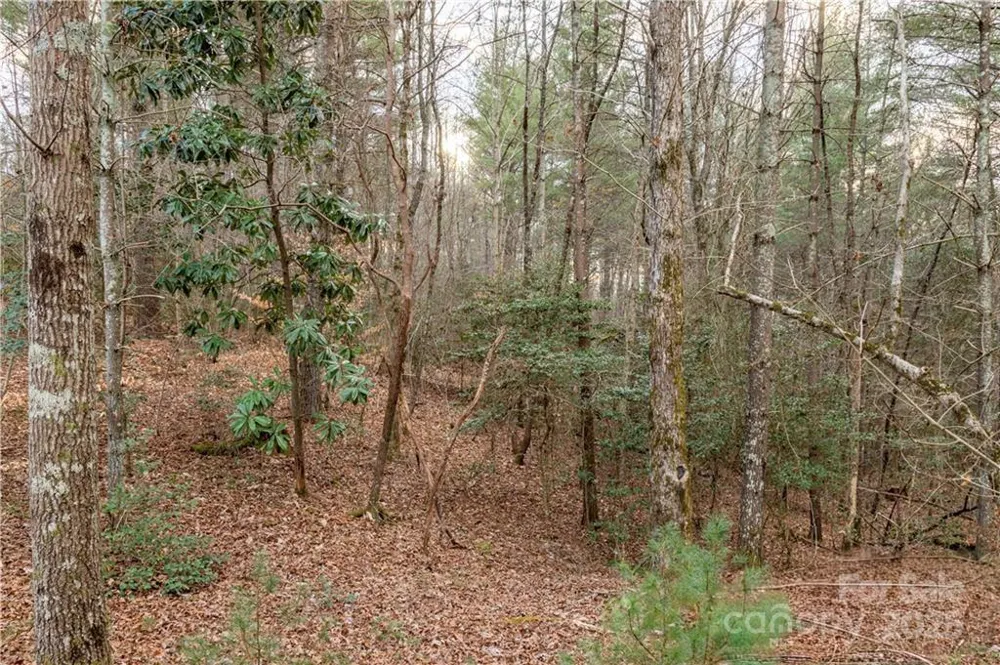 1209 Lakeside Way NW #6 Valdese, NC 28690