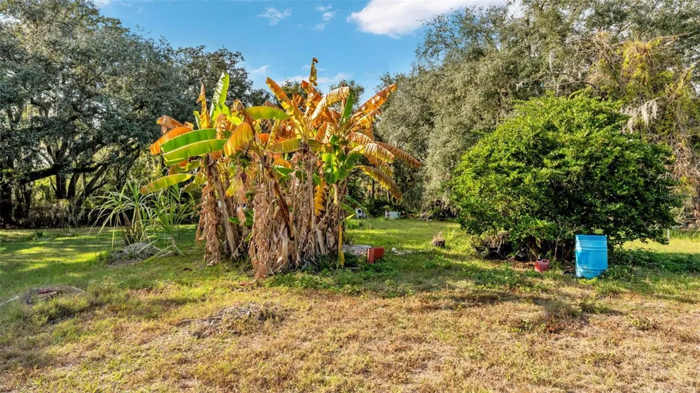 23 VIOLET STREET Plant City, FL 33563