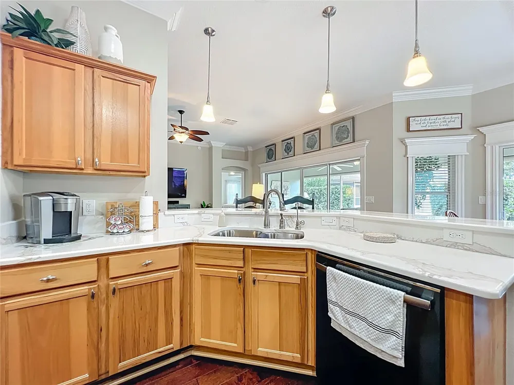 2875 RAIN LILY LOOP The Villages, FL 32163