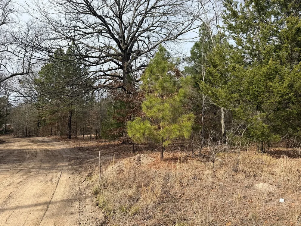 Hwy 37 Clarksville, TX 75426