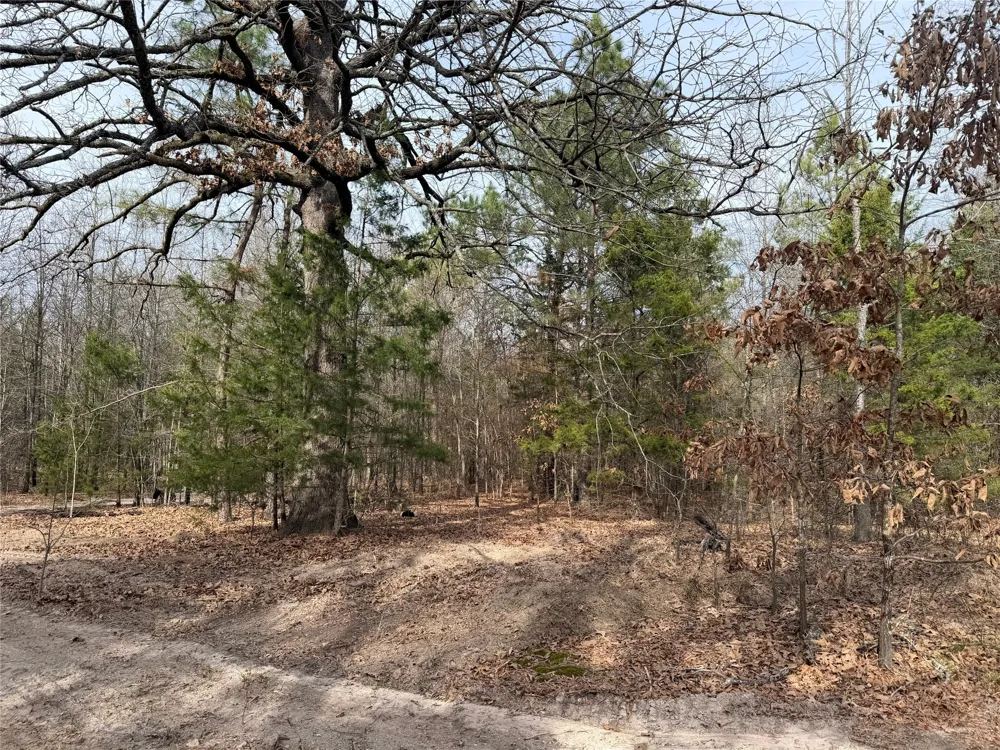 Hwy 37 Clarksville, TX 75426