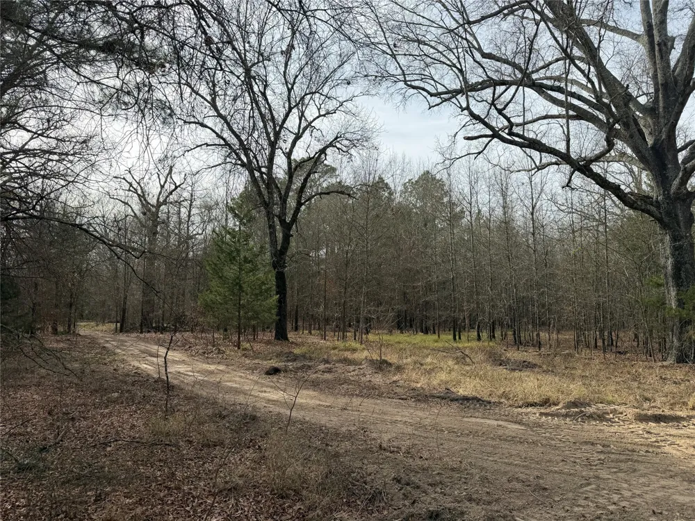 Hwy 37 Clarksville, TX 75426