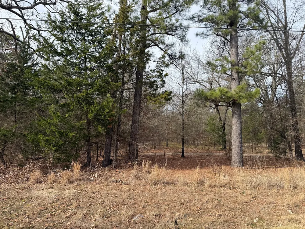 Hwy 37 Clarksville, TX 75426