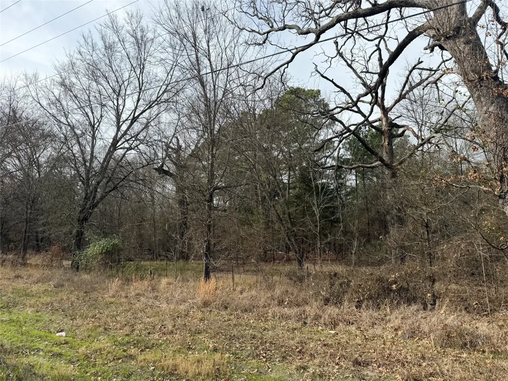 Hwy 37 Clarksville, TX 75426