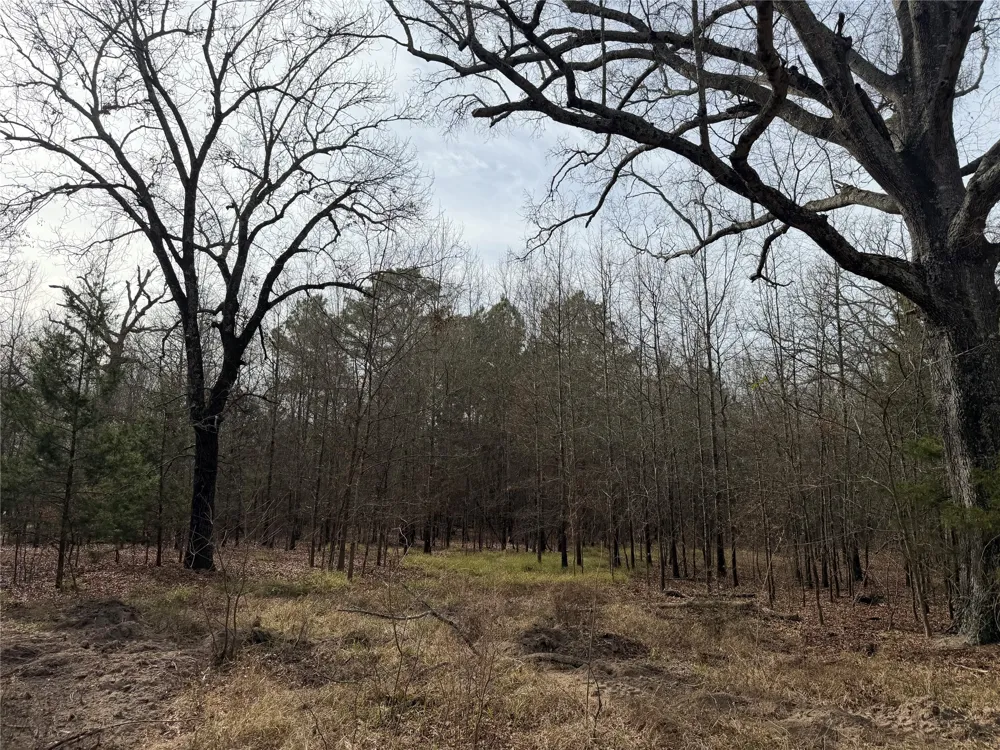 Hwy 37 Clarksville, TX 75426
