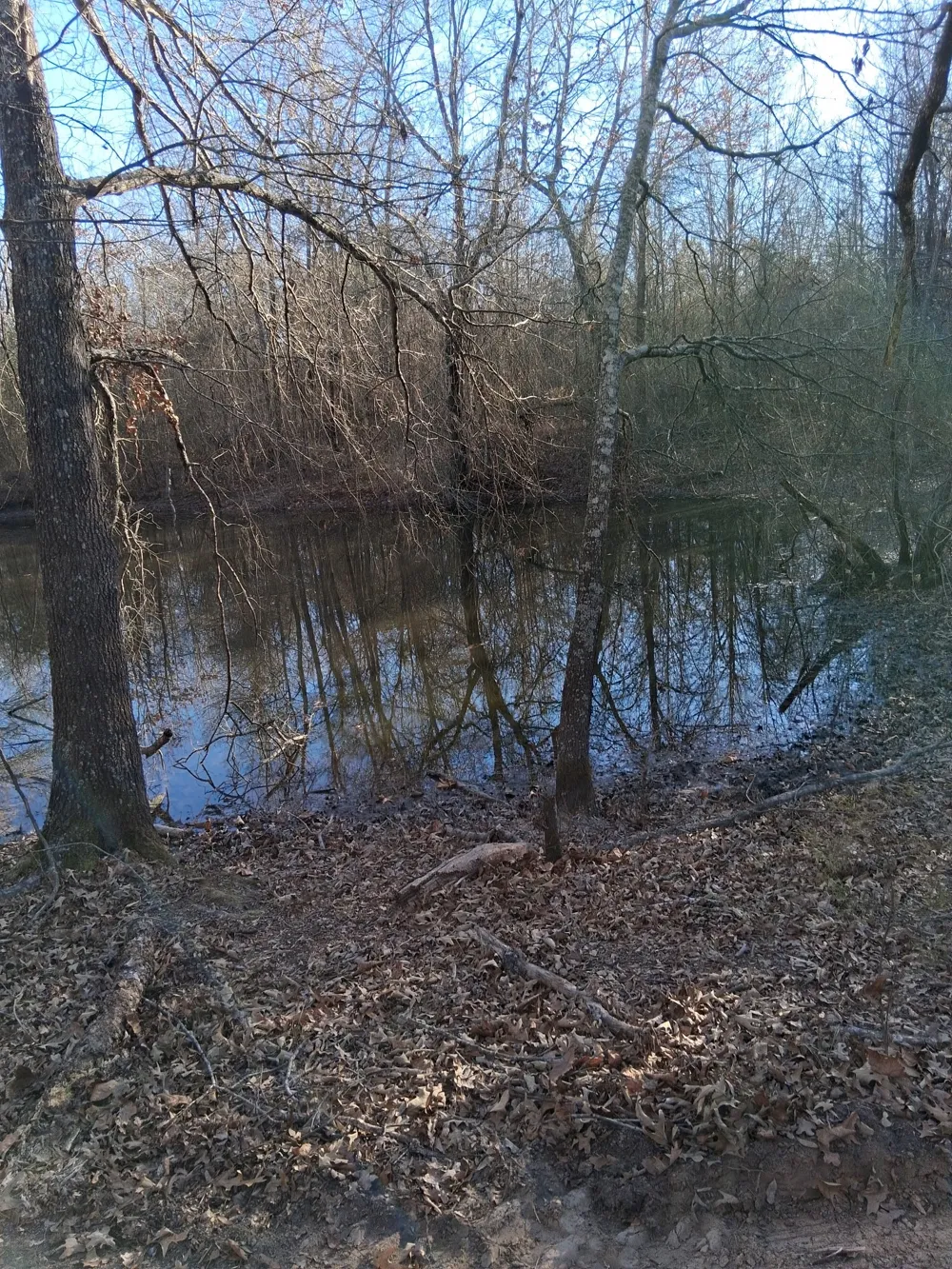 Hwy 37 Clarksville, TX 75426