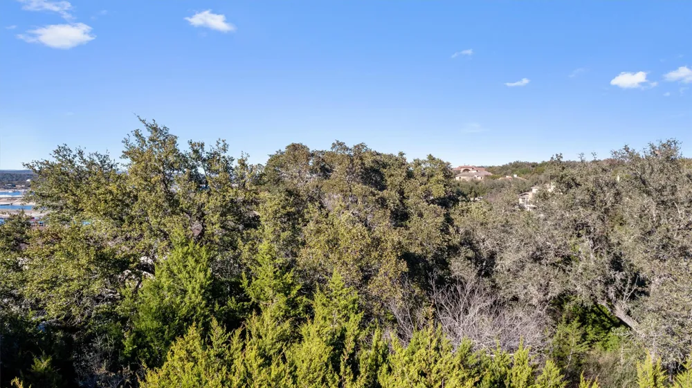 16146 Clara Van Street Lakeway, TX 78734