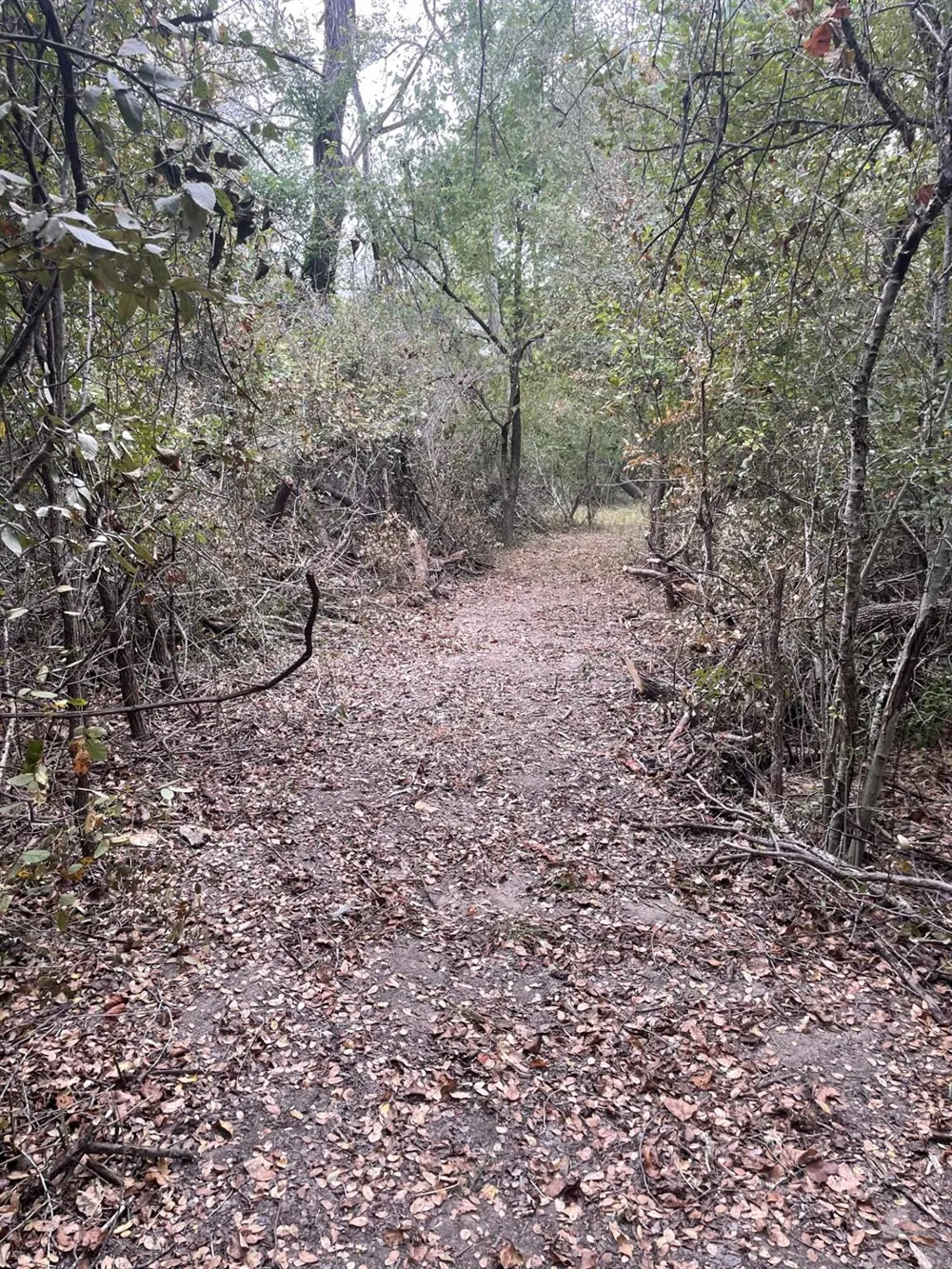 Donahoe Road Bartlett, TX 76511