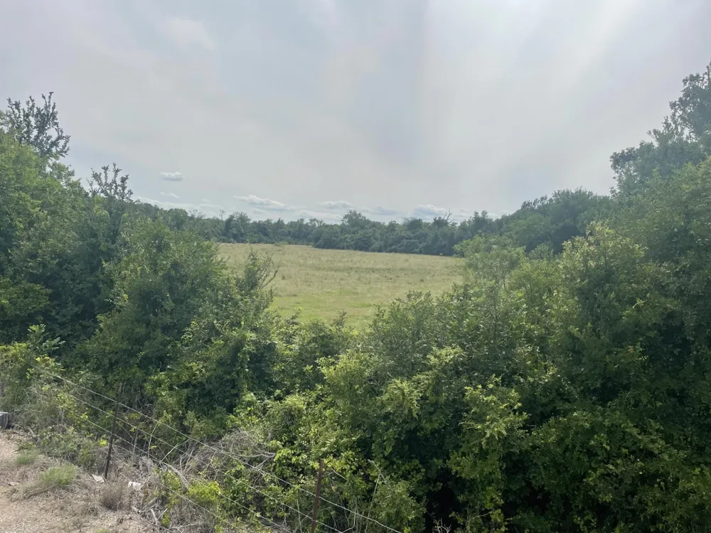 Donahoe Road Bartlett, TX 76511