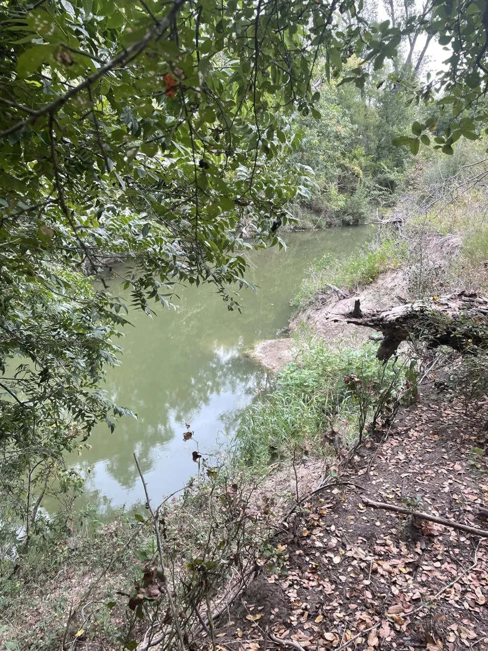 Donahoe Road Bartlett, TX 76511