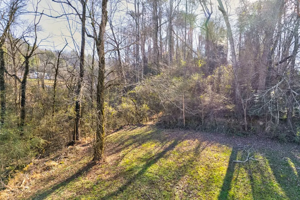 TR-A First Avenue East Ellijay, GA 30539