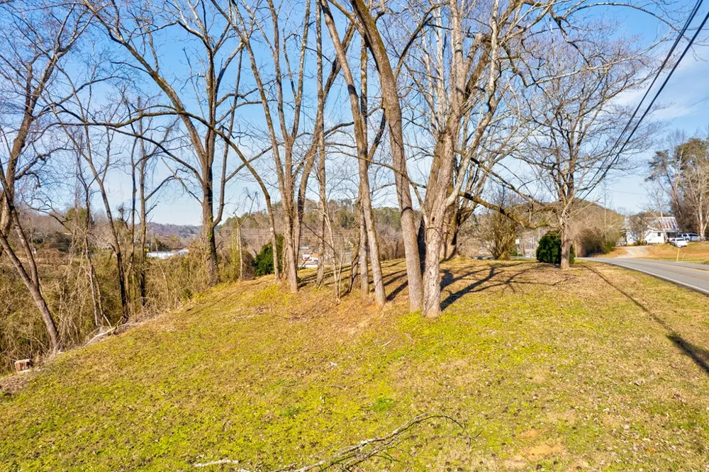 TR-A First Avenue East Ellijay, GA 30539