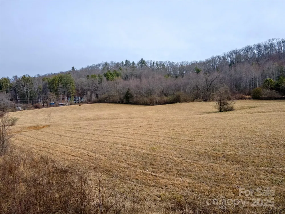 0 Georgia Road Franklin, NC 28734