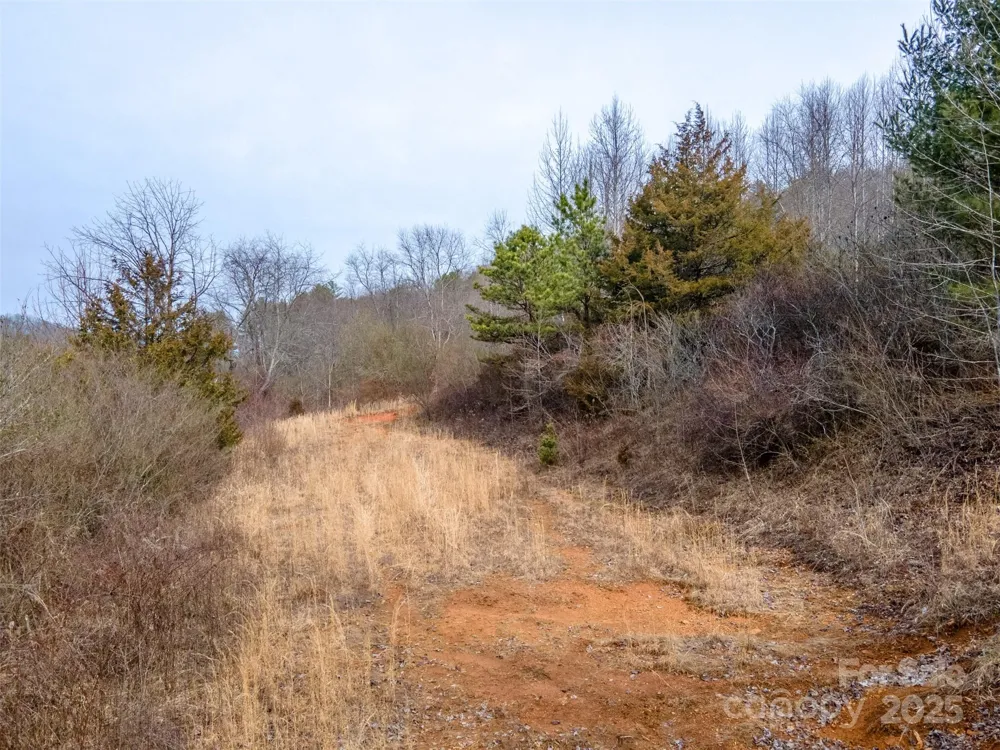 0 Georgia Road Franklin, NC 28734