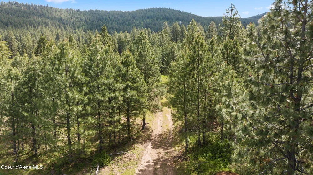 NKA S Alexanna Lane Post Falls, ID 83854