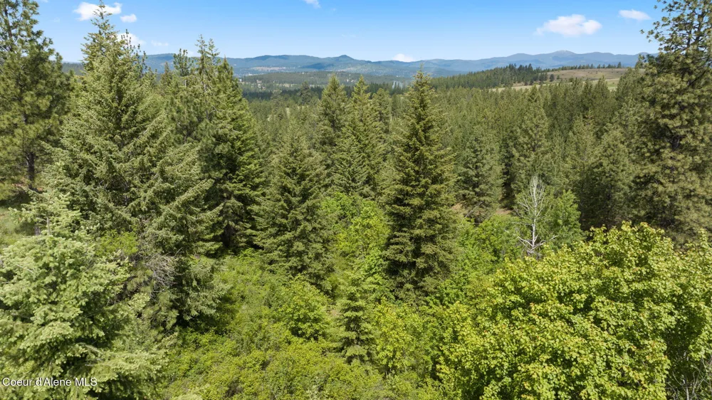 NKA S Alexanna Lane Post Falls, ID 83854