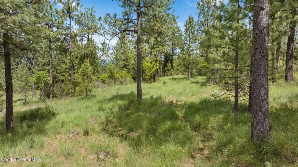 NKA S Alexanna Lane Post Falls, ID 83854