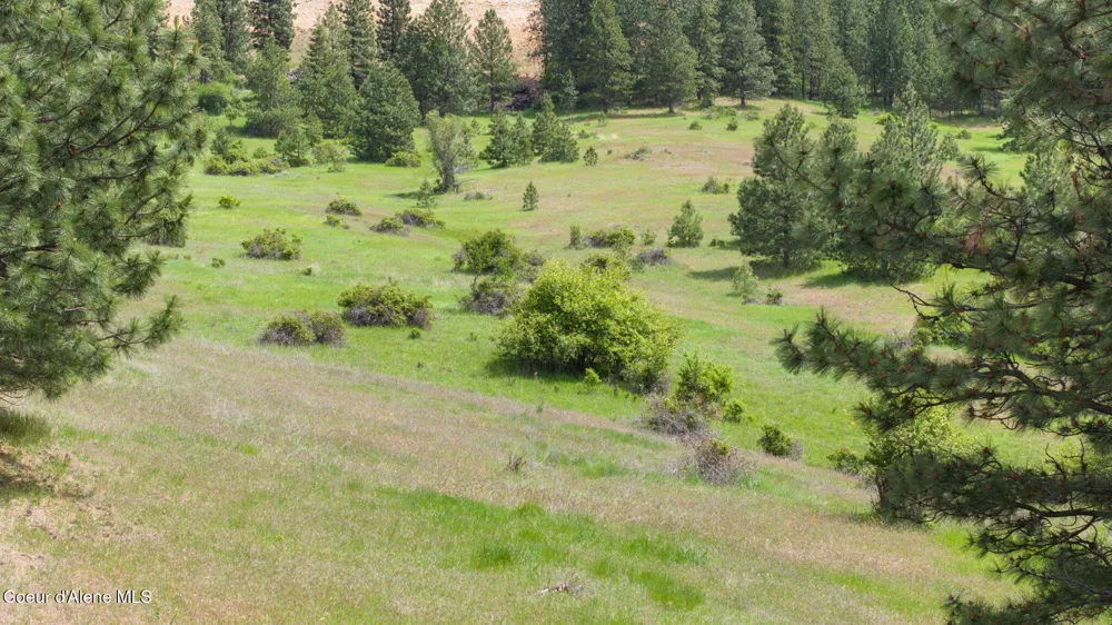 NKA S Alexanna Lane Post Falls, ID 83854