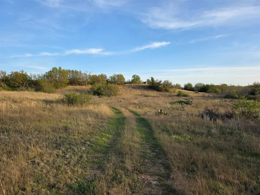 Co Rd 303 Gorman, TX 76454