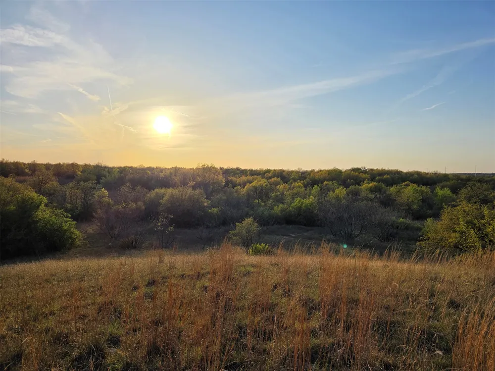 Co Rd 303 Gorman, TX 76454