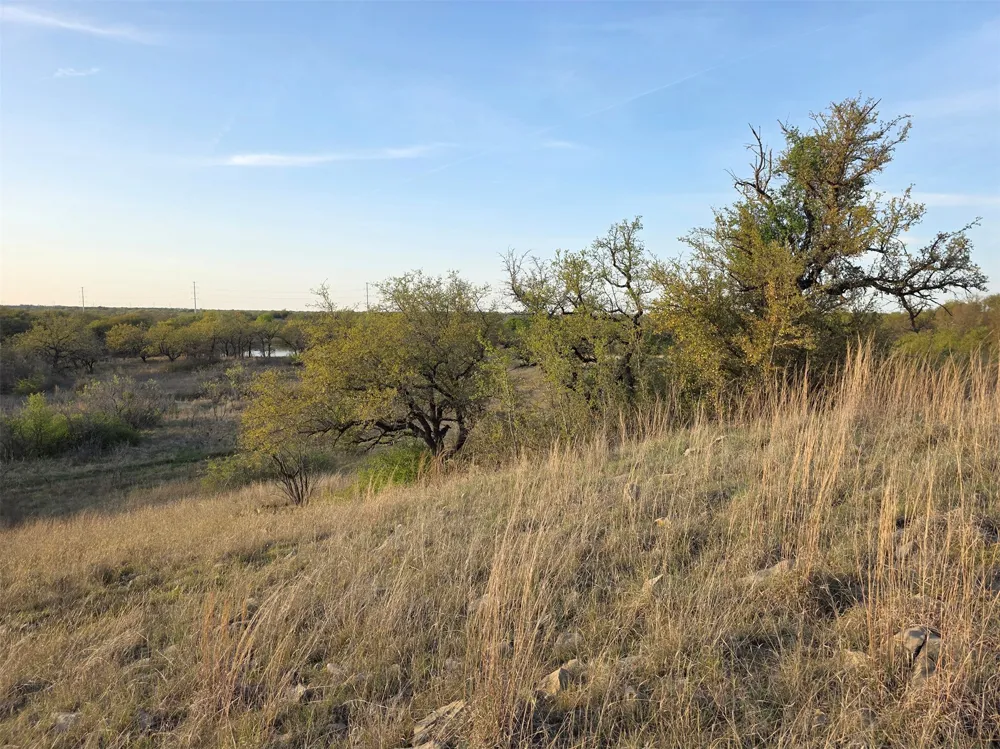 Co Rd 303 Gorman, TX 76454