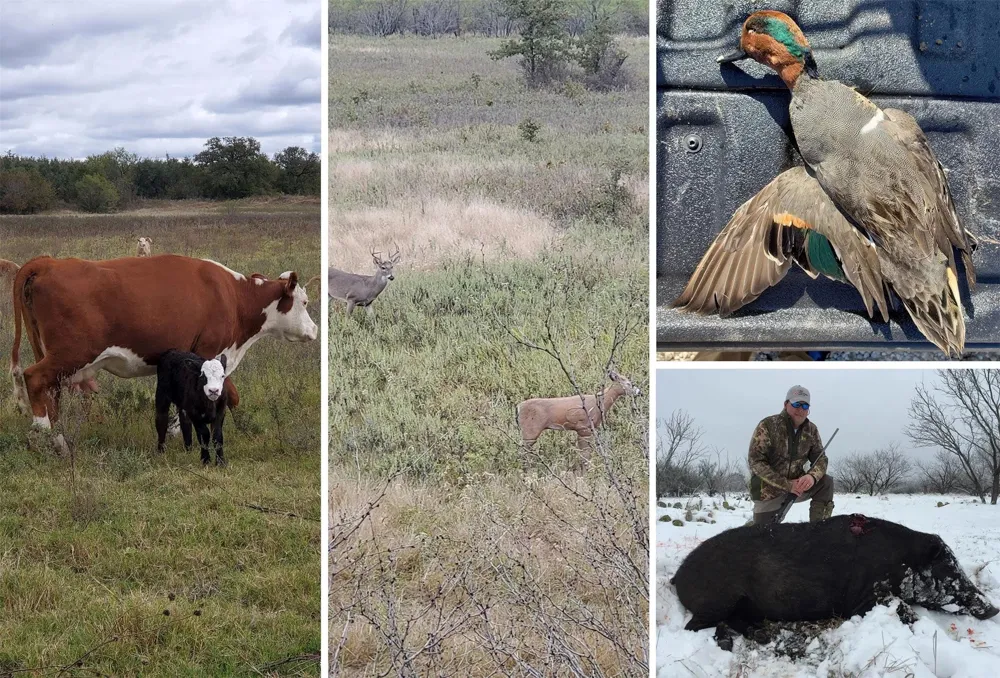 Co Rd 303 Gorman, TX 76454