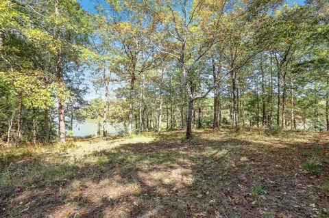 14948 Colt Lane
