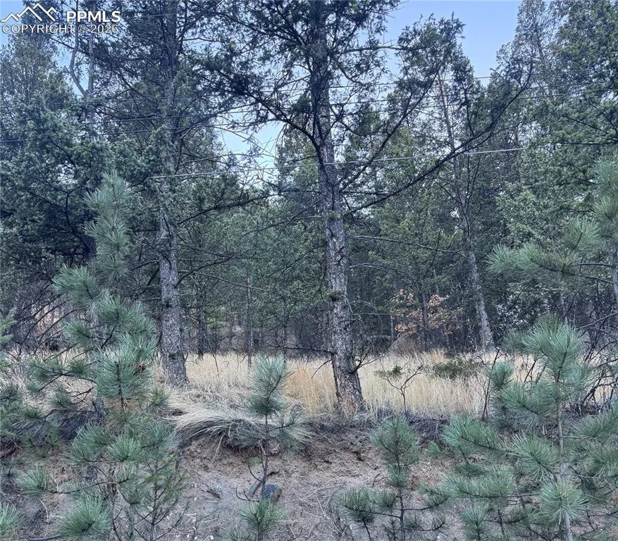 Lot 13 Harrison Street Green Mountain Falls, CO 80819