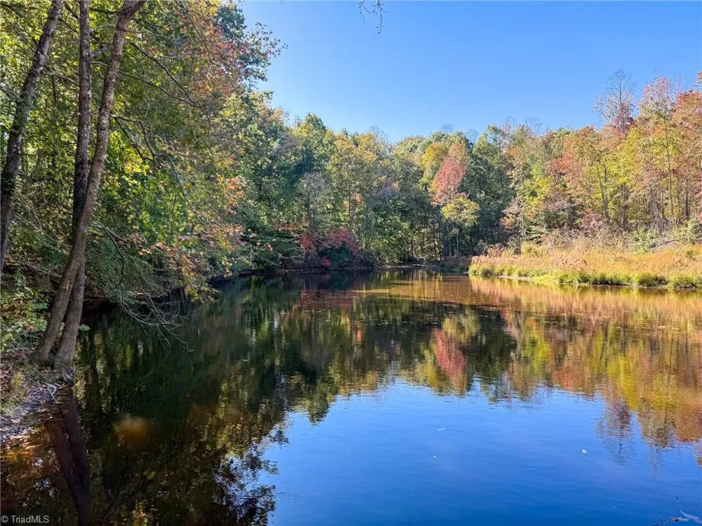 979 Perkinson Road Ruffin, NC 27326