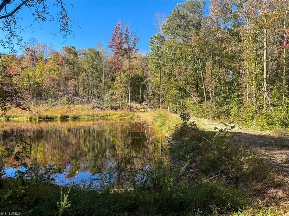 979 Perkinson Road Ruffin, NC 27326