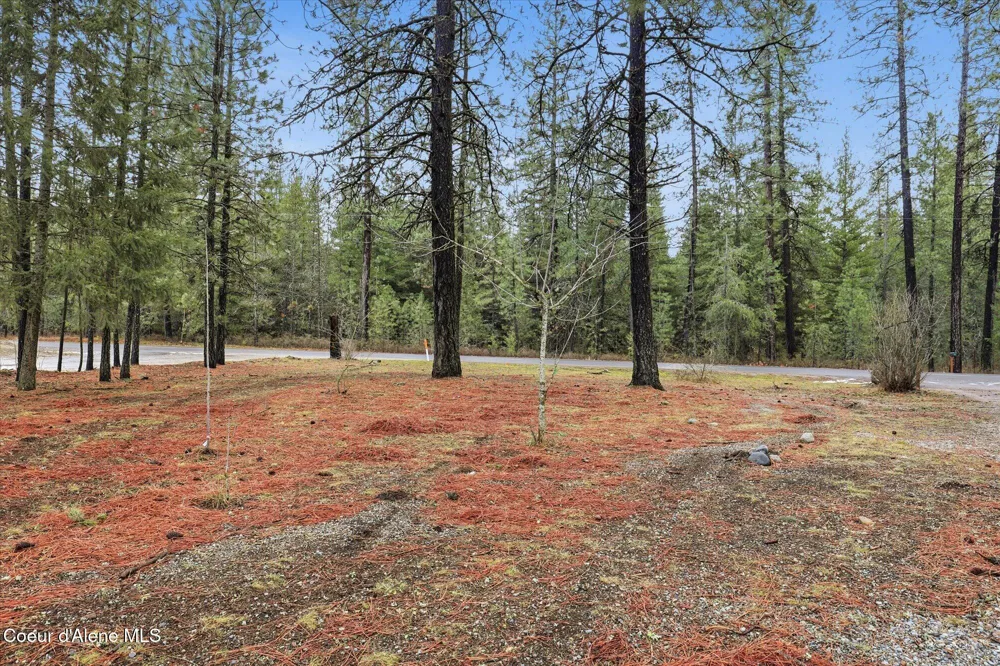 2455 W SEASONS ROAD Athol, ID 83801