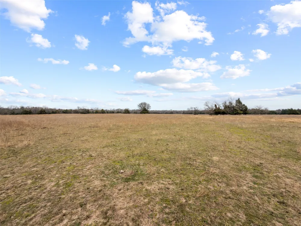 County Road 1255 Savoy, TX 75479
