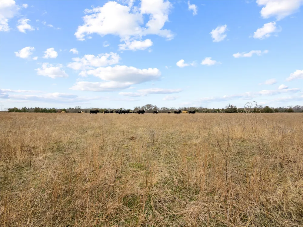 County Road 1255 Savoy, TX 75479
