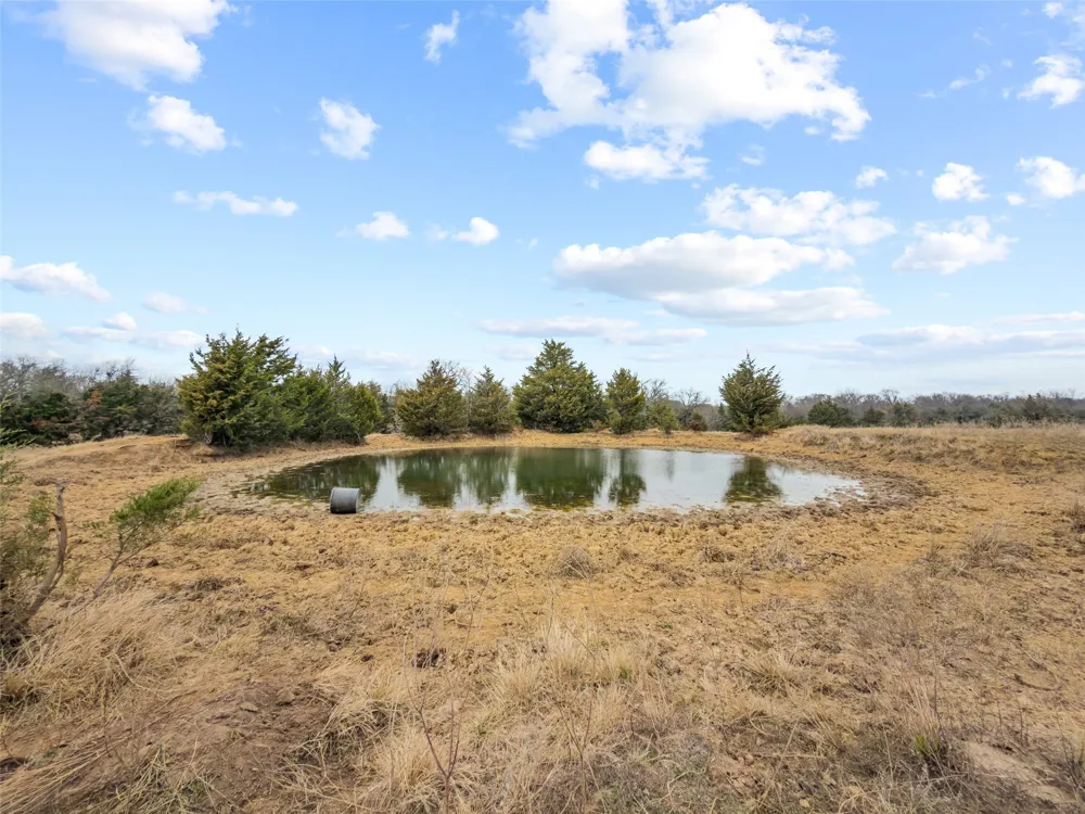 County Road 1255 Savoy, TX 75479