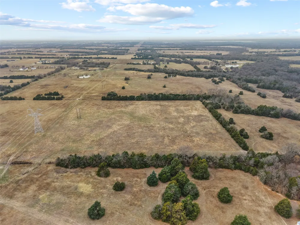 County Road 1255 Savoy, TX 75479