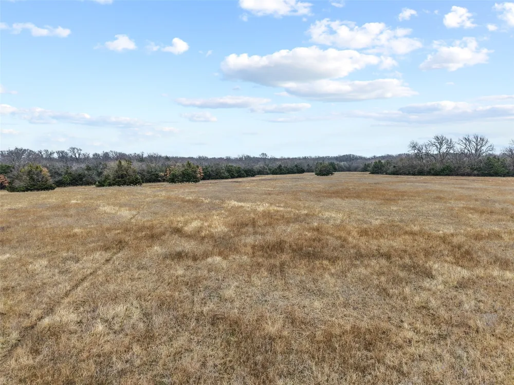 County Road 1255 Savoy, TX 75479