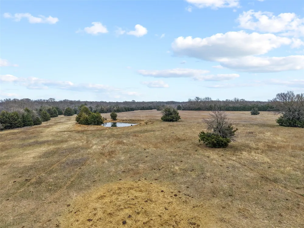 County Road 1255 Savoy, TX 75479