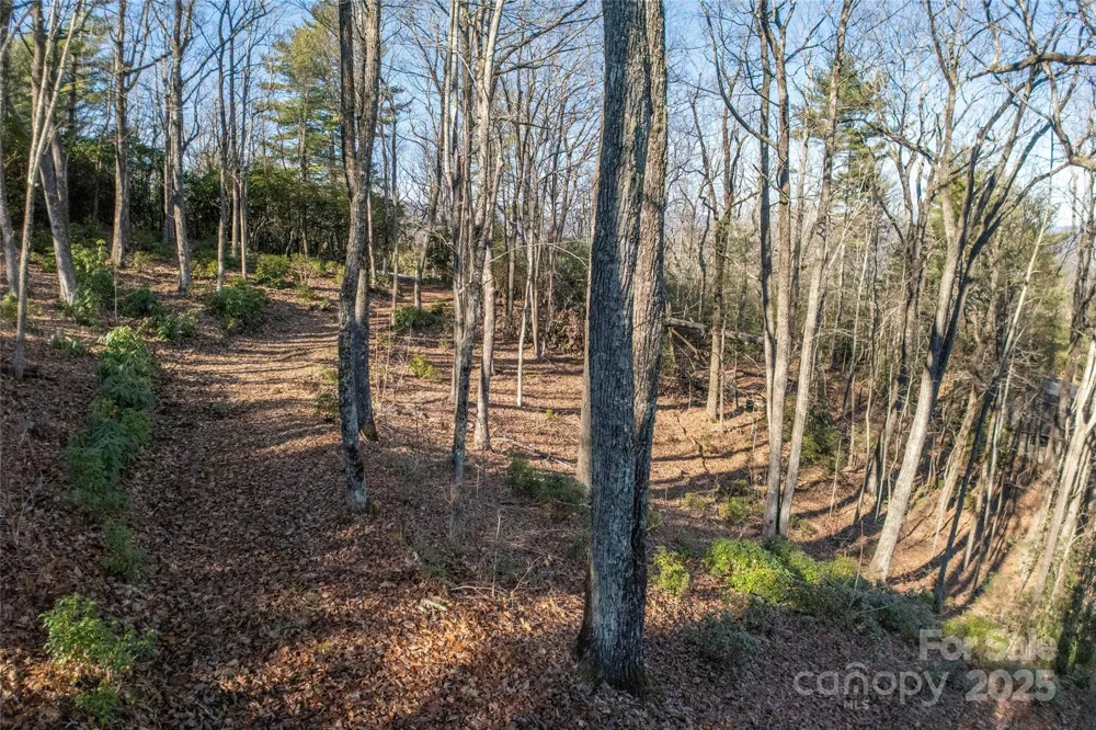 Lot 25 Lakeside Trail Lake Toxaway, NC 28747
