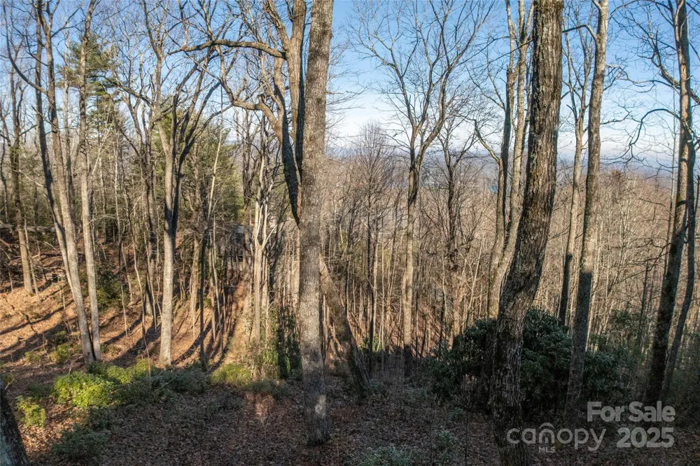 Lot 25 Lakeside Trail Lake Toxaway, NC 28747