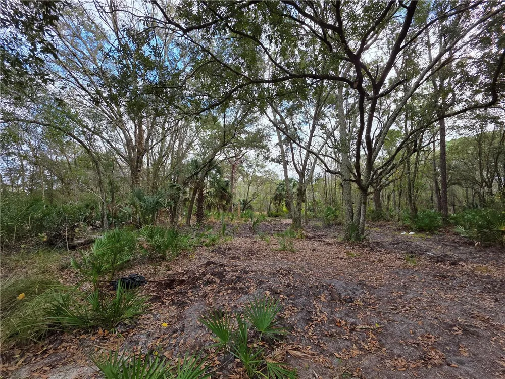 0 STATE ROAD 60 E Lake Wales, FL 33898