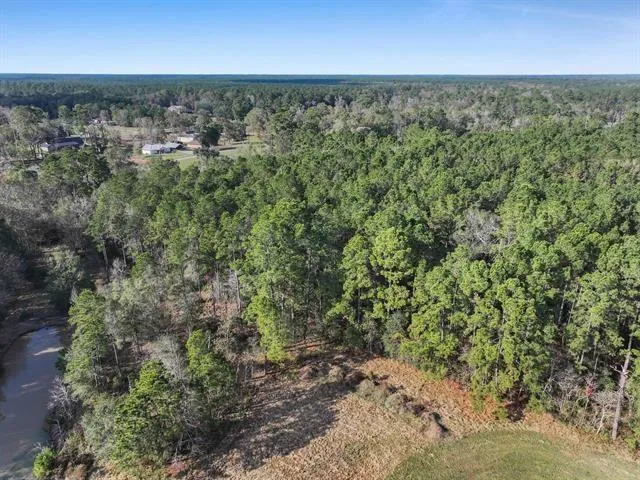 1284 Bobcat Circle Orange, TX 77632