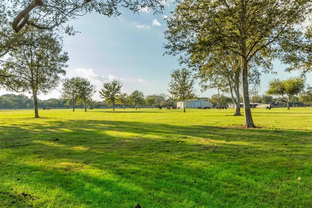 3150 Holmes Road Road Richmond, TX 77406